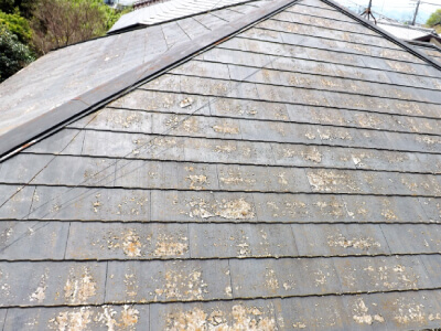 築１０年を過ぎると屋根に苔や藻、カビが発生します。その場合は防水機能が低下してます。